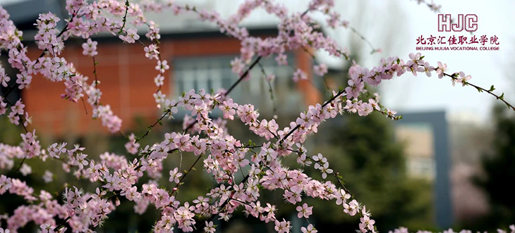 1587191628340593.png 3.png